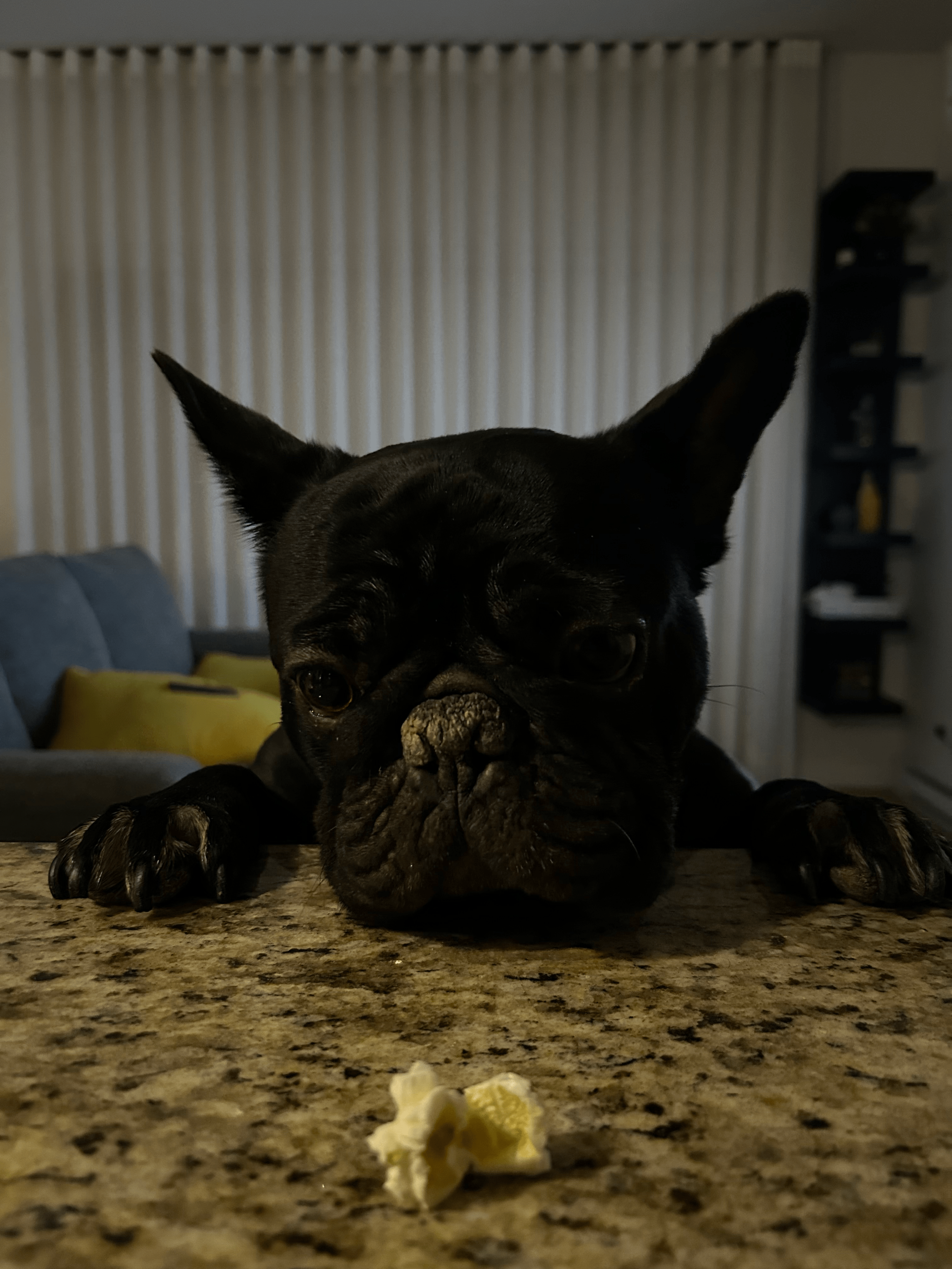 Sarge